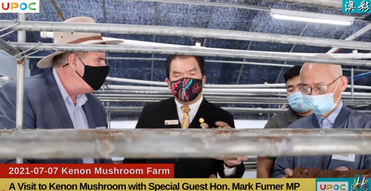 A Visit to Kenon Mushroom Farm with Hon. Mark Furner MP