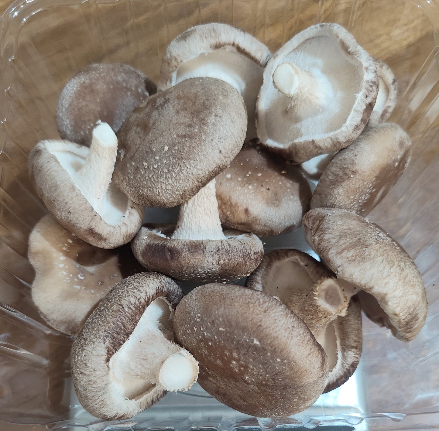 Fresh Shiitake