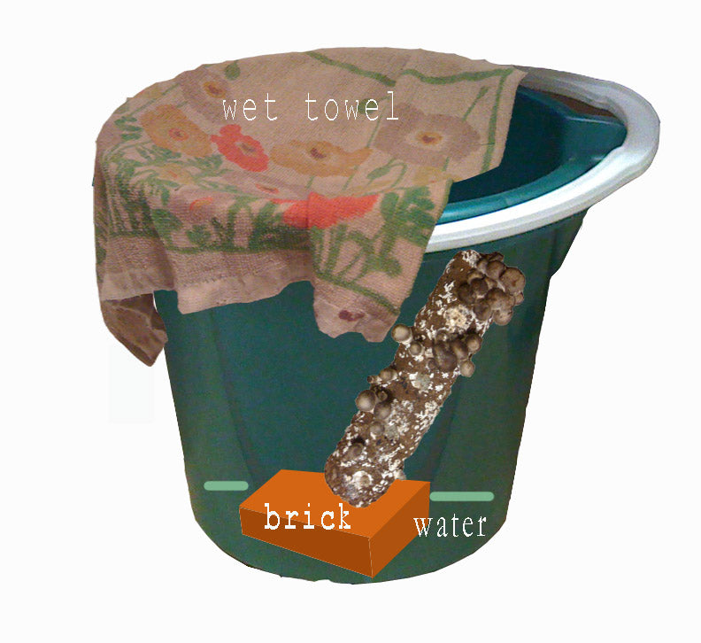 Oyster Growing Bag