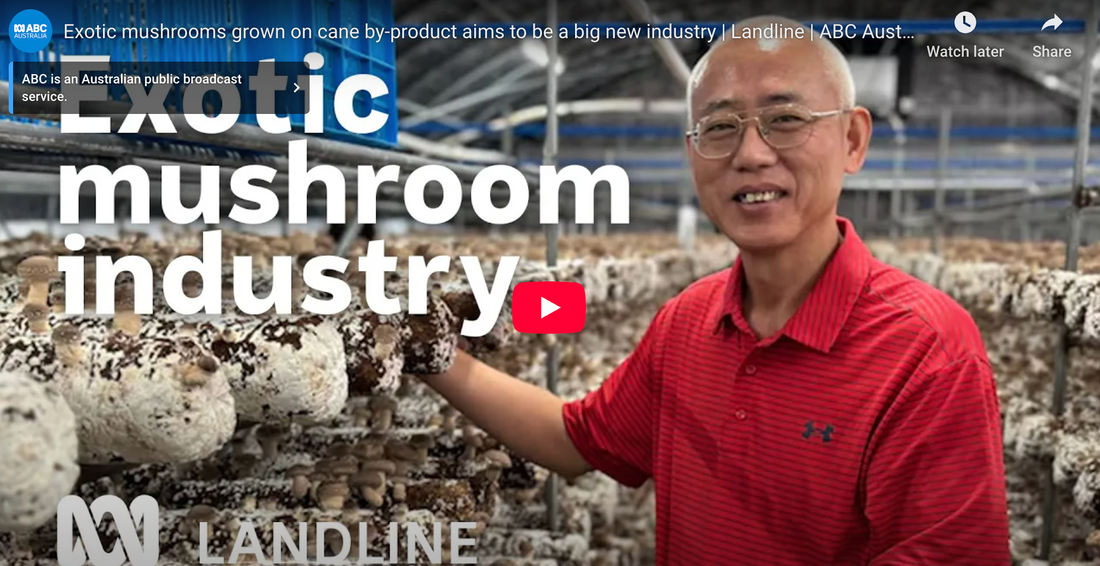 Kenon Mushrooms Spotlighted on ABC Landline for Sustainable Mushroom Farming