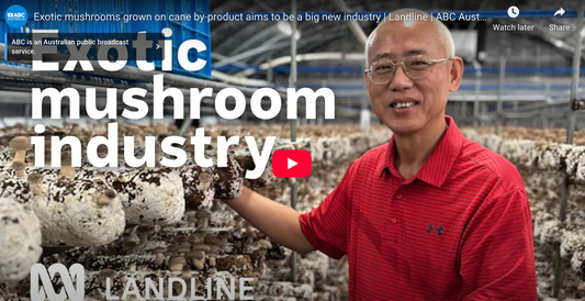 Kenon Mushrooms Spotlighted on ABC Landline for Sustainable Mushroom Farming